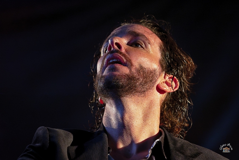 flamenco (94)